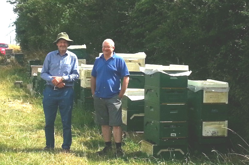 Intro to bee breeding